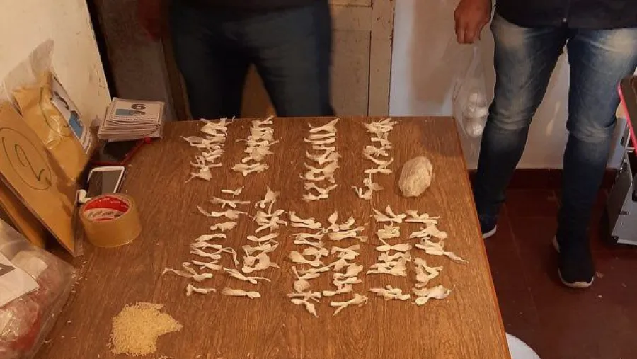 Allanamientos