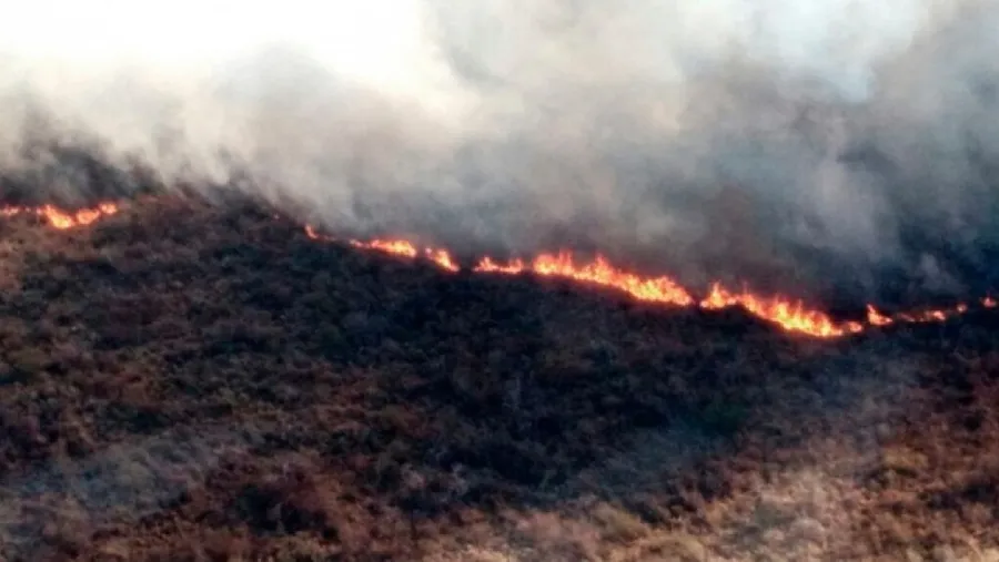 Incendios. 
