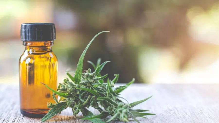 aceite de cannabis