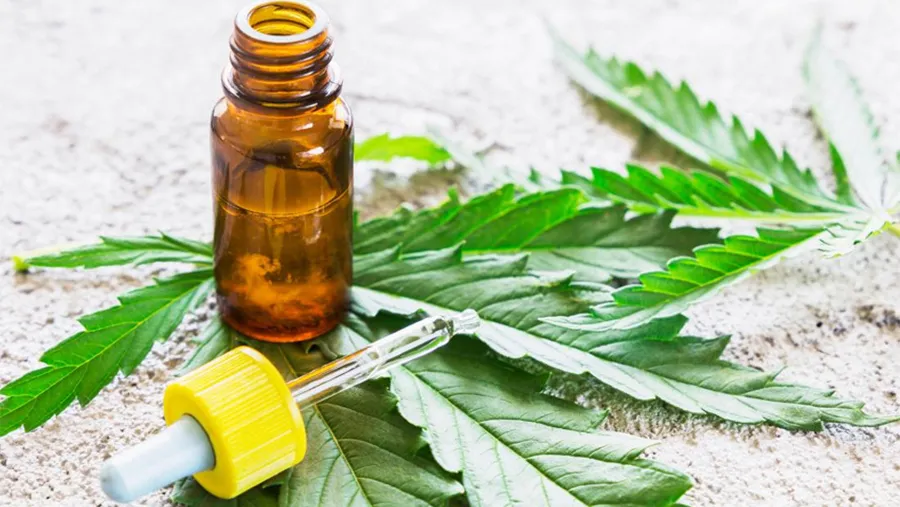 El STJ ordenó al Iosper que disponga de forma inmediata la cobertura médica de aceite de cannabis para un paciente que sufre epilepsia refractaria.