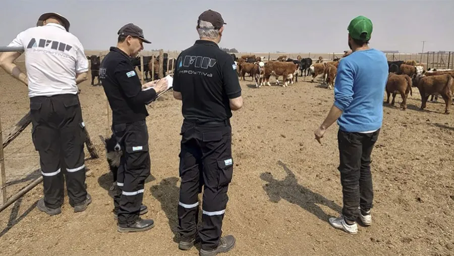 Los inspectores de la AFIP en el establecimiento rural en Concordia.