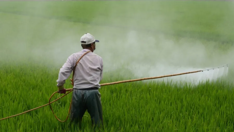 Fumigación terrestre