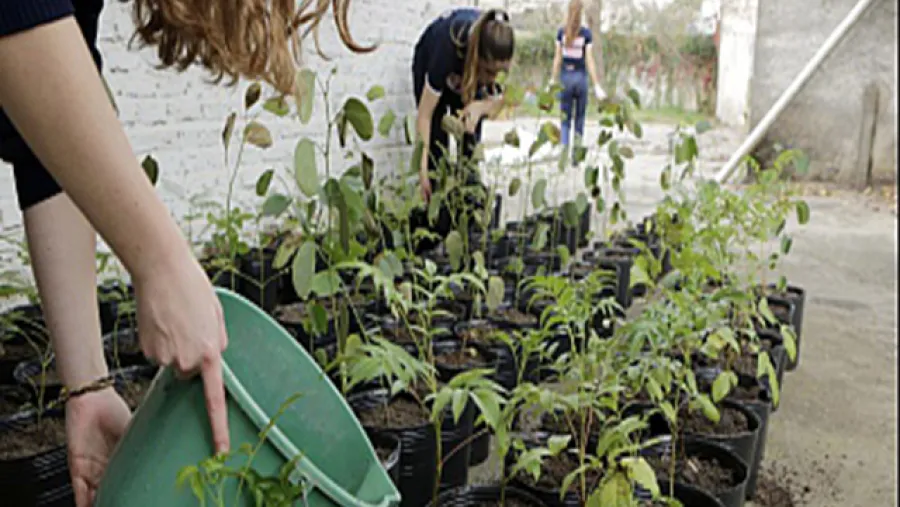 Urdinarrain desarrolla actividades en la semana del Ambiente 