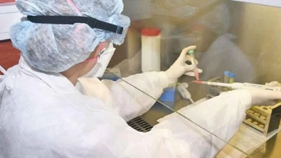 coronavirus