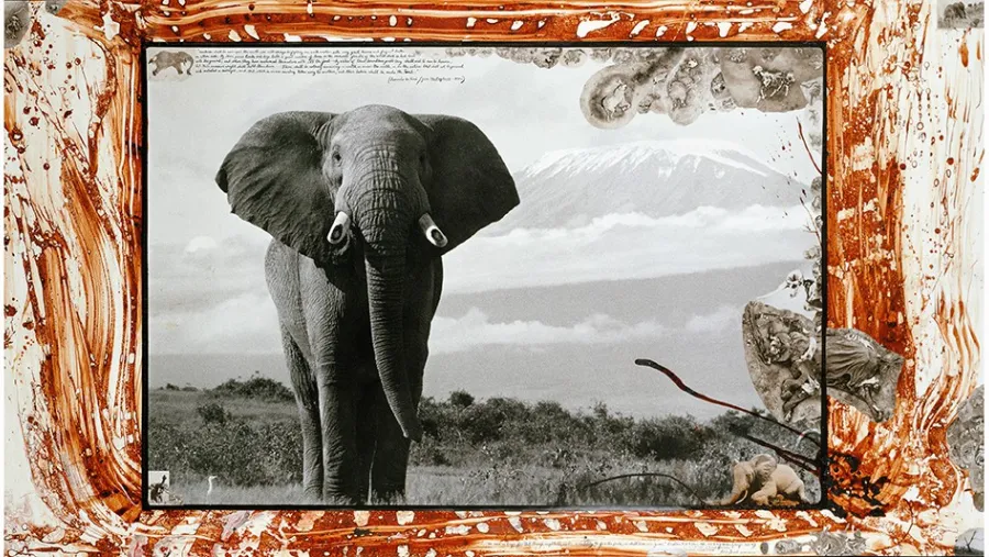  Peter Beard 