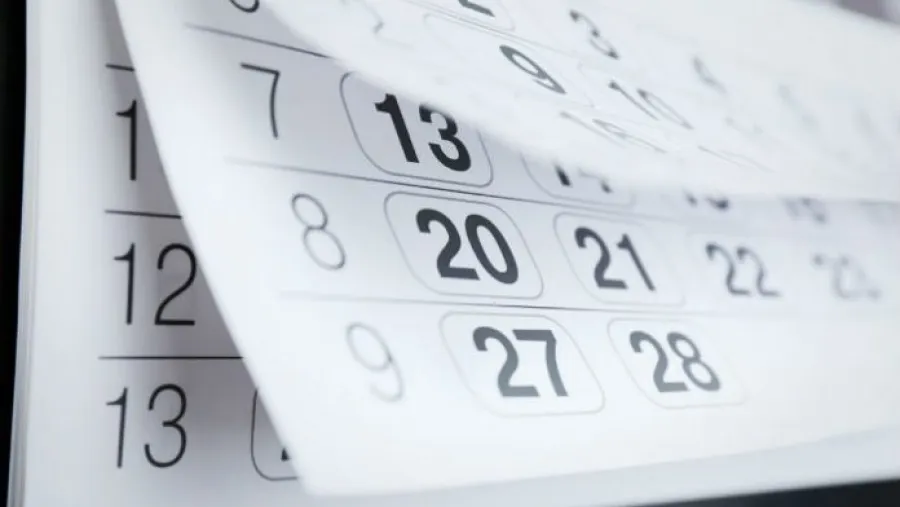 Veinte días o veinte años