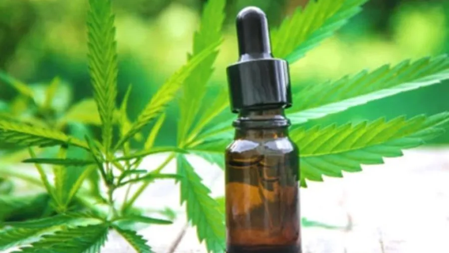 cannabis terapéutico