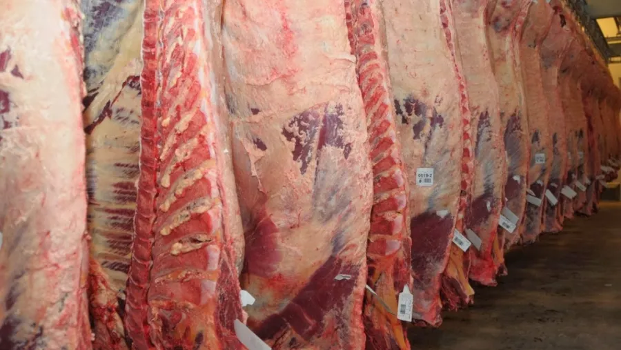 carne