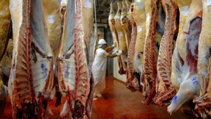 carne