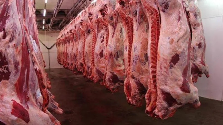El novillo registró una suba en los últimos 12 meses del 120 por ciento en el mercado de Liniers,