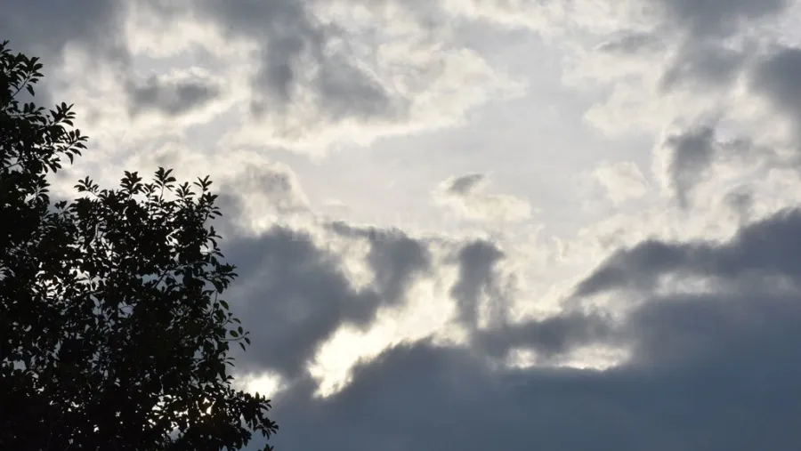 Cielo
