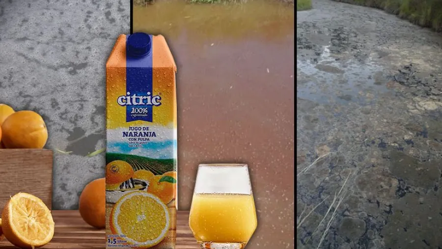 Jugos Cítric