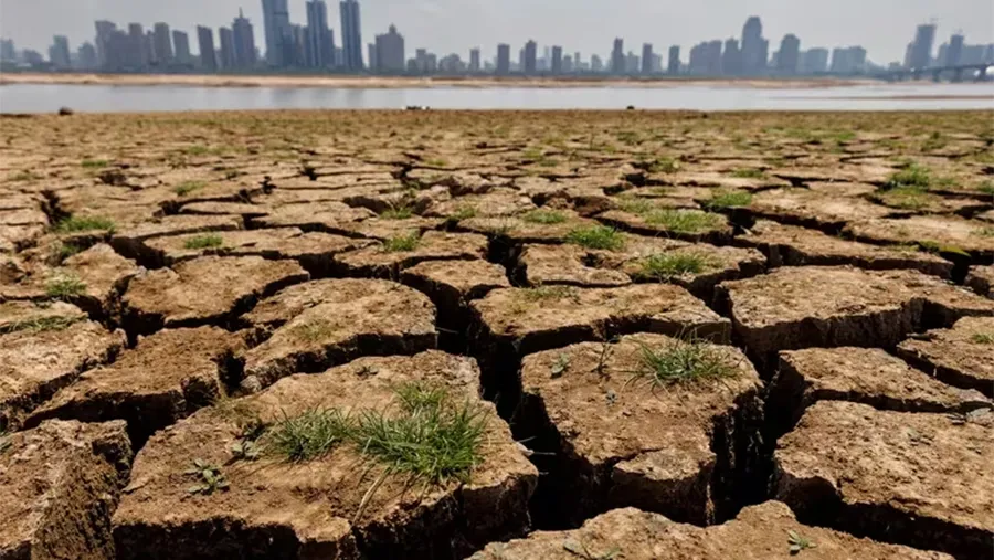 Cambio climático.
