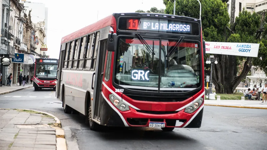 Colectivos