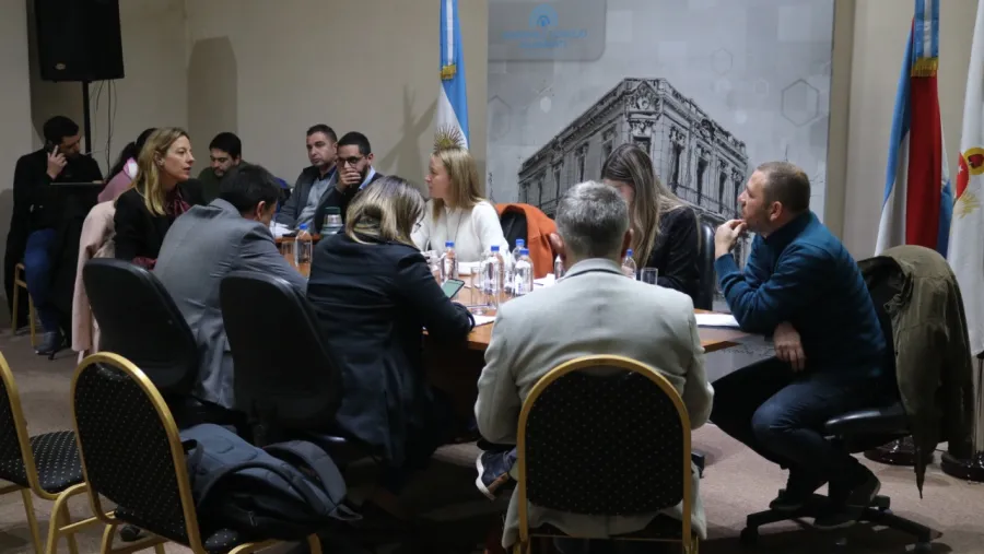 Funcionaria municipal expuso ante ediles detalles del programa “Marca Paraná”