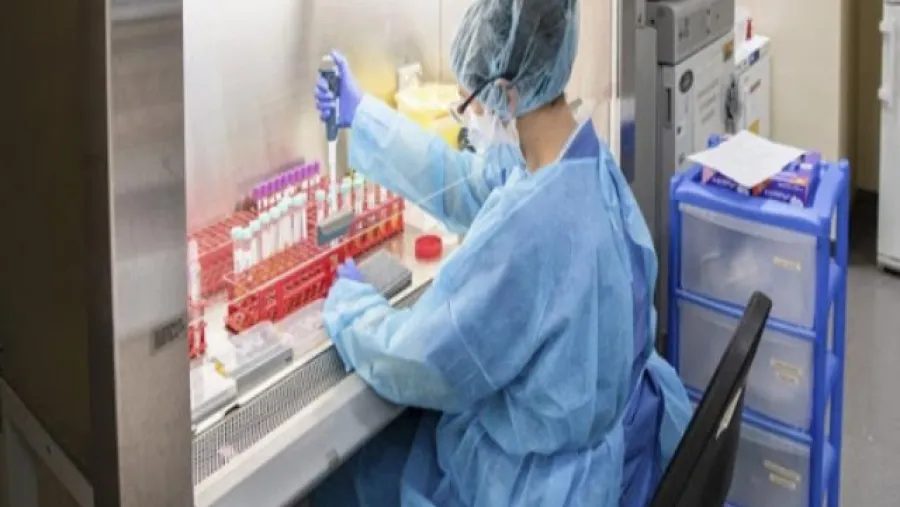 coronavirus