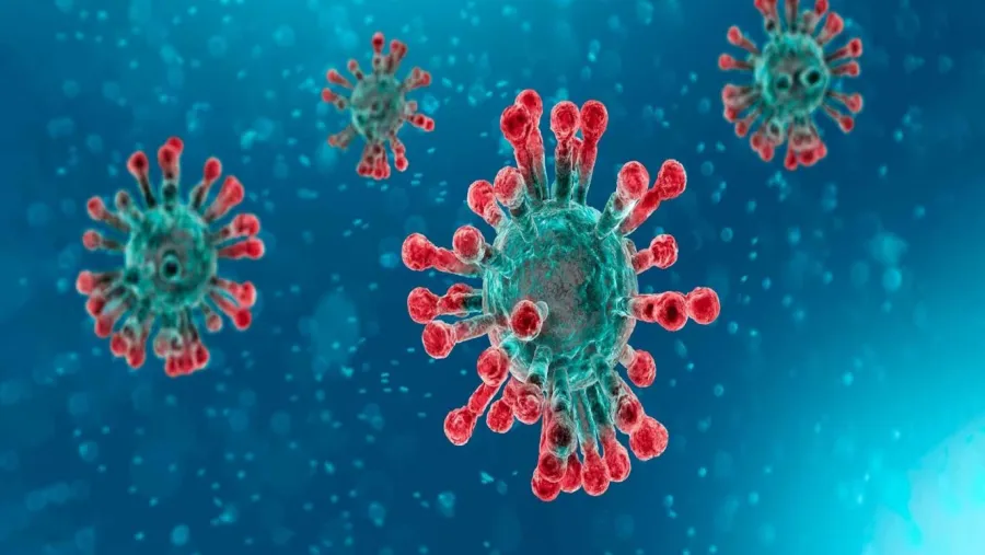 coronavirus