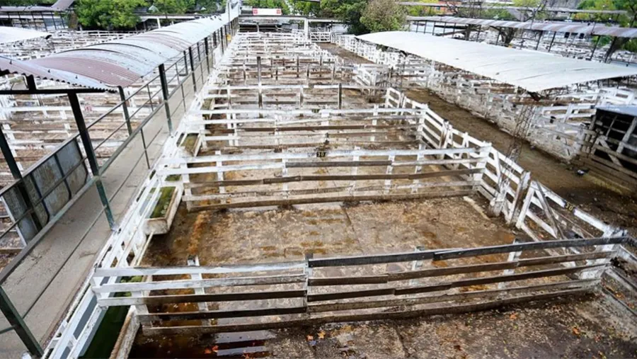 Vacío. El apurado paro del campo hizo poco caso al diálogo oficial y al impacto del coronavirus.