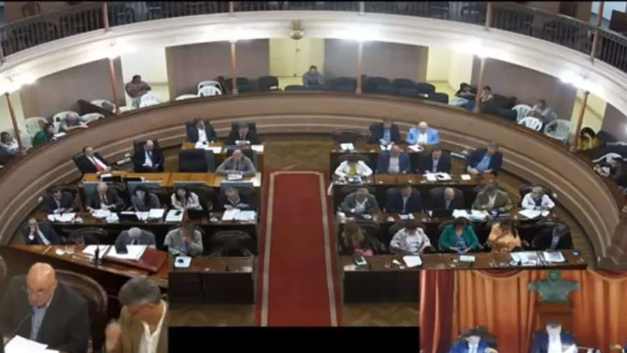 diputados