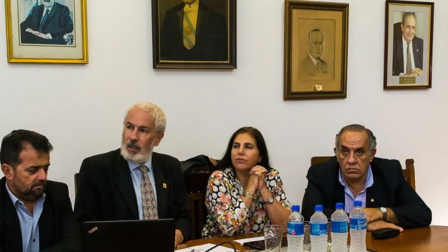 Diputados radicales