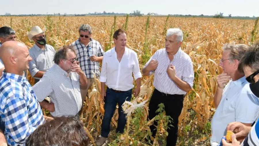 La provincia convocó a las entidades agropecuarias para evaluar medidas ante la sequía