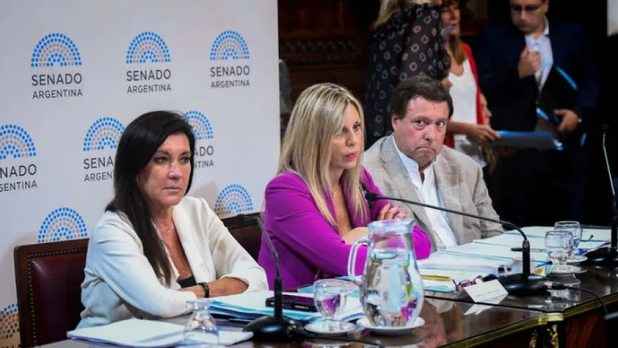 Comisión de Asuntos Constitucionales del Senado