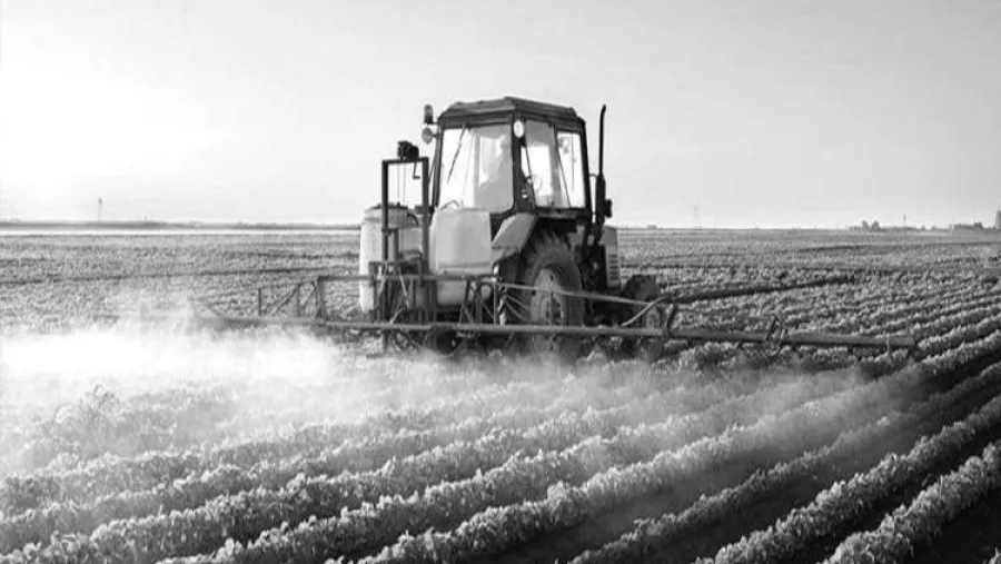 fumigación agrotóxicos