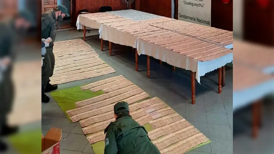 dinero incautado Gendarmería