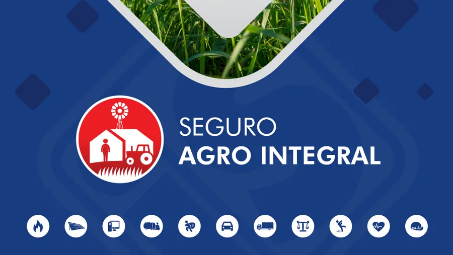 Seguro