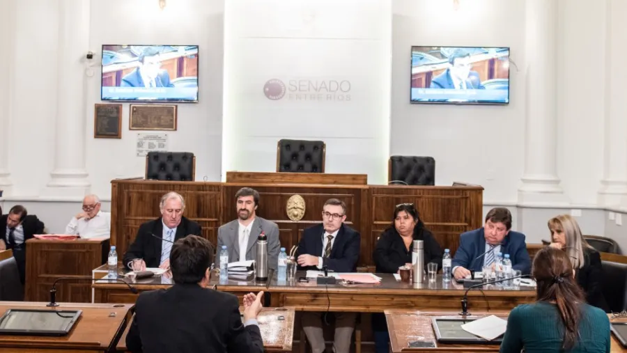 Senado