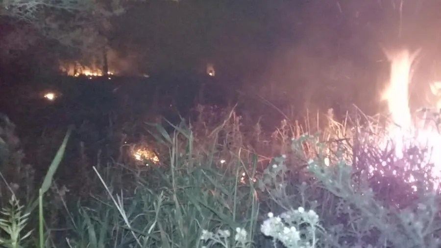 incendio Crespo (Foto: Bomberos Voluntarios Crespo ilustrativa)