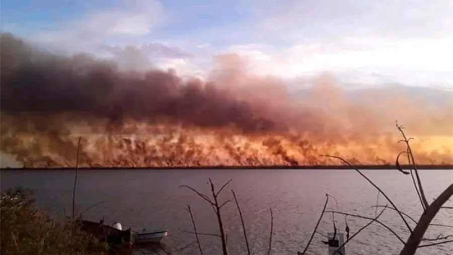 incendios Ibicuy 