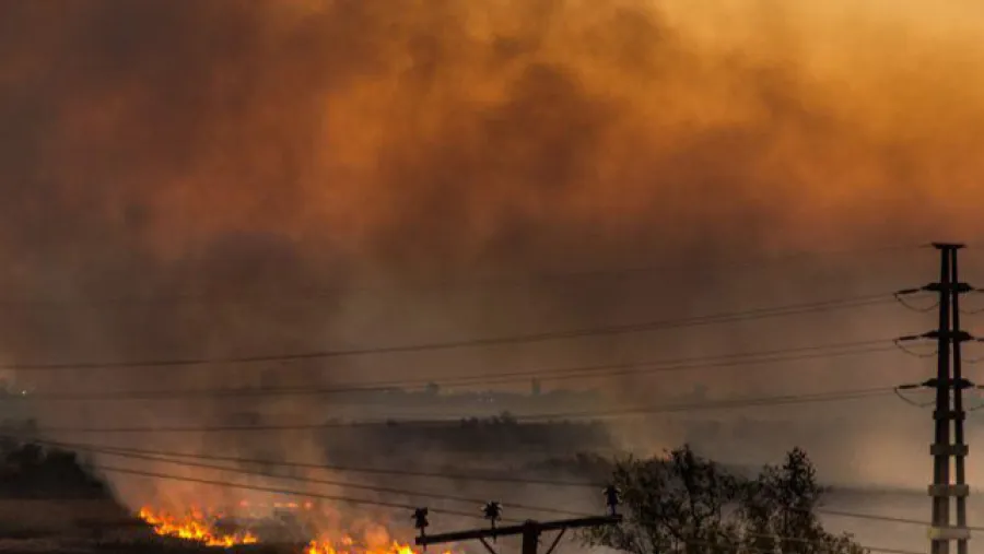 incendios islas Delta del Paraná