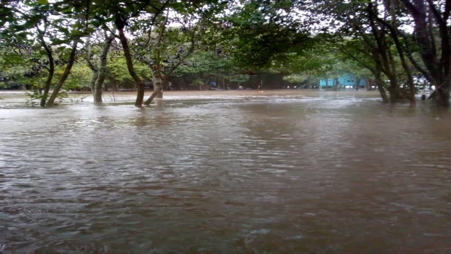 Lluvias