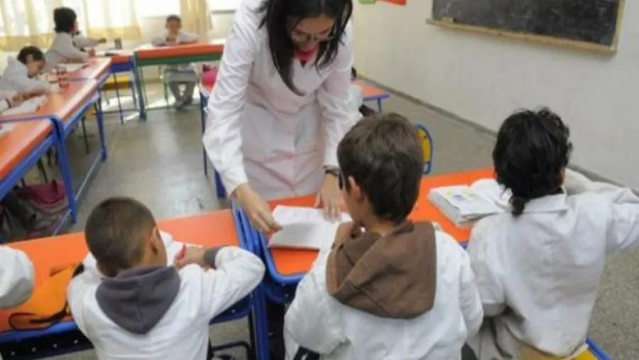 maestra