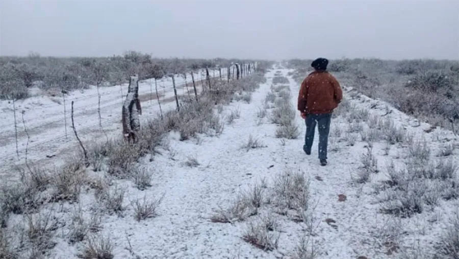 nevada