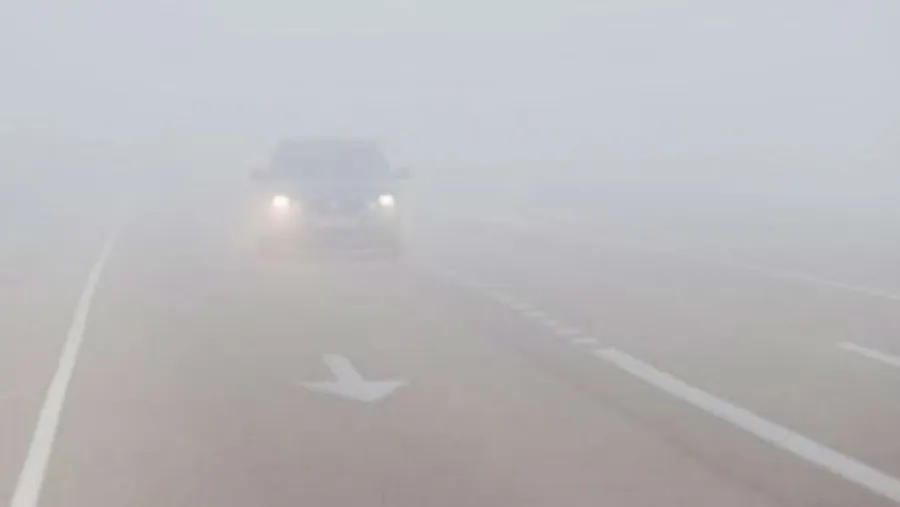 Niebla