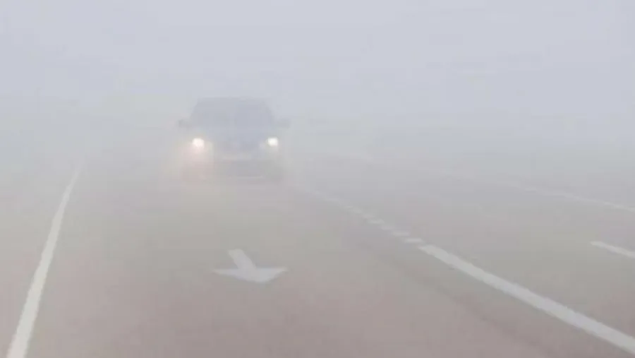 Niebla