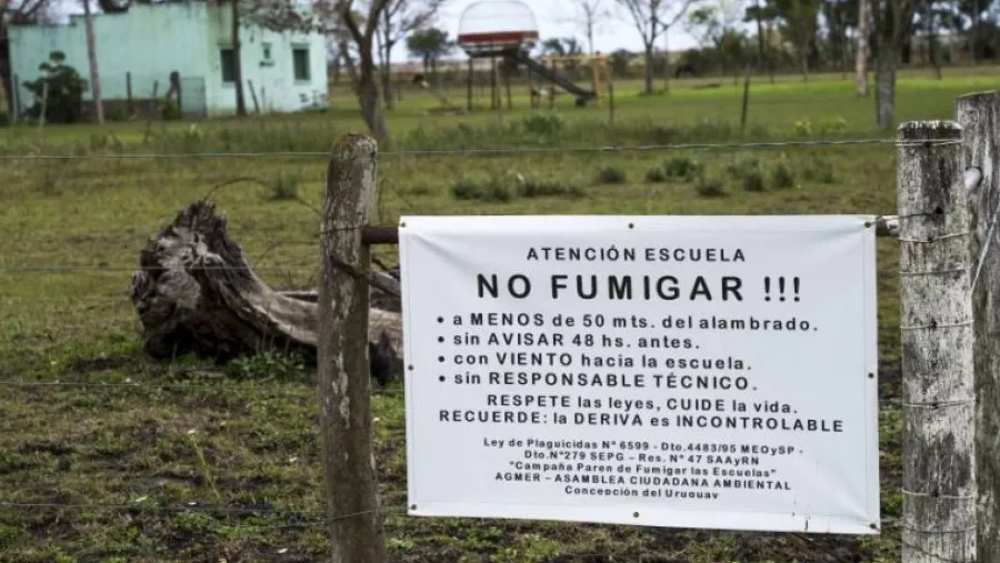 fumigaciones 