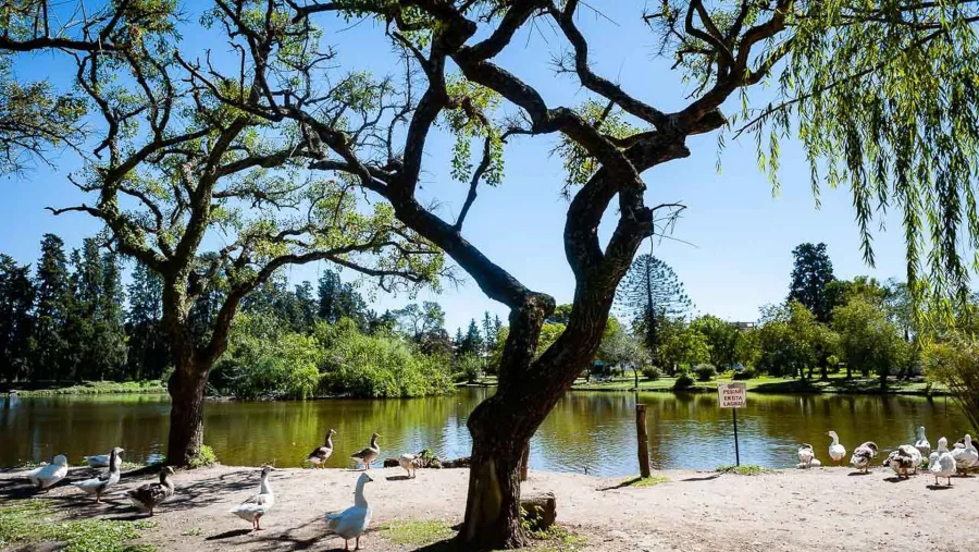 Parque Gazzano