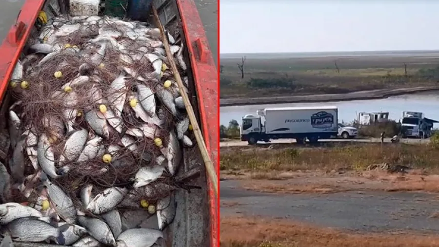 Pesca