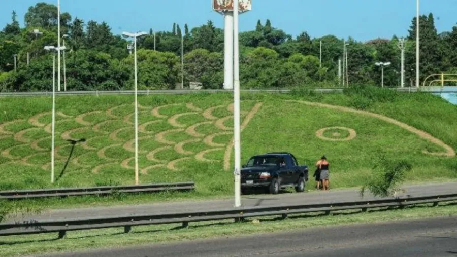 pez en el talud