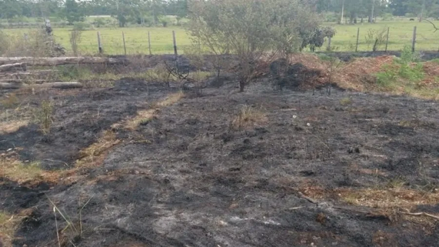 Un incendio afectó a la reserva Chaviyú y se investigan las causas