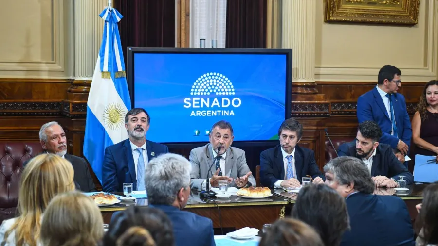 Senado