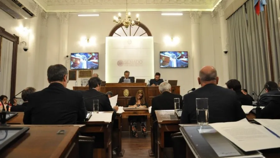 senado