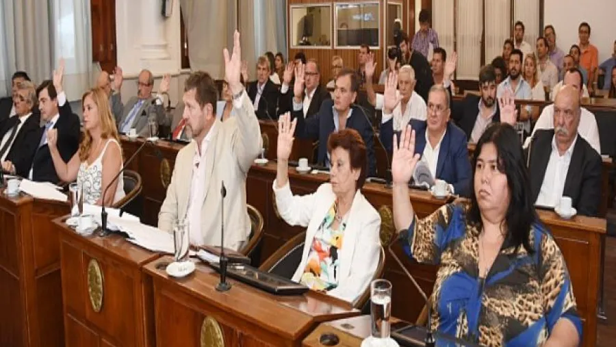 Senado
