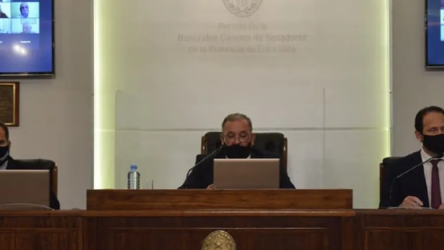 Senado