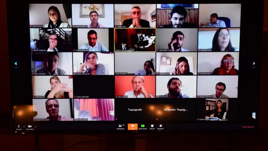 Diputados sesionaron de manera virtual