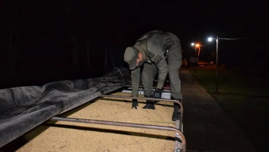 Incautaron en Corrientes 29 toneladas de soja que eran transportadas desde Entre Ríos