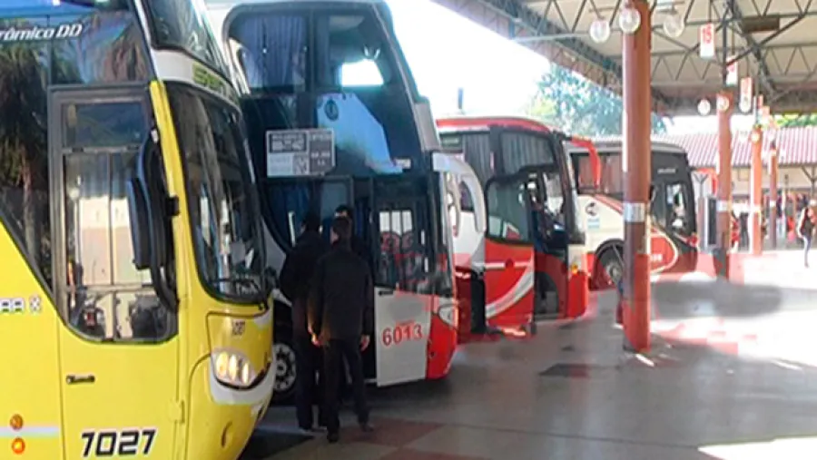 colectivos 